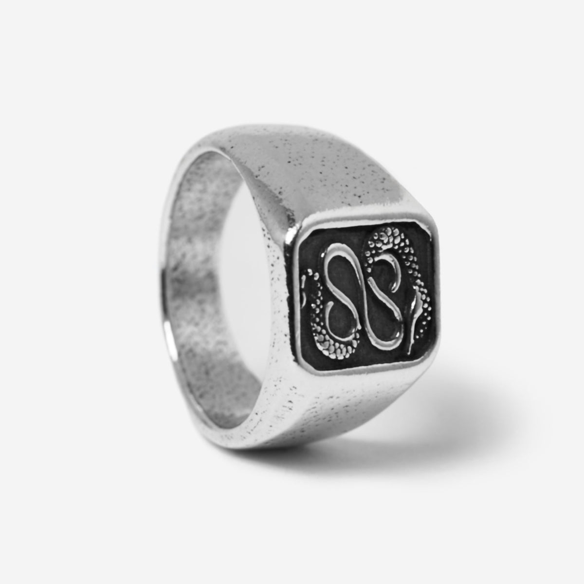 Serpent Ring | Coiled 925 Silver Snake Ring– Billie Jo